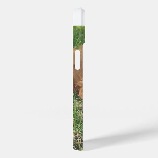 Coques Case-Mate iPhone Cute Golden Doodle (Verso / Droite)