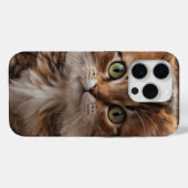 Coques Case-Mate iPhone Cute Kitten (Verso (horizontal))