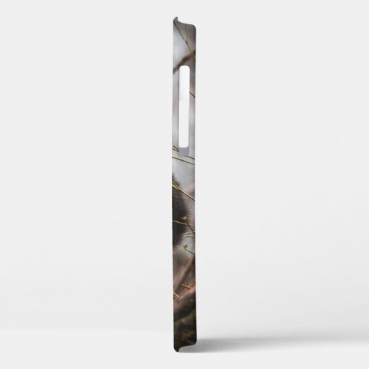 COQUES Case-Mate iPhone CUTE KOALA BEAR (Verso / Gauche)