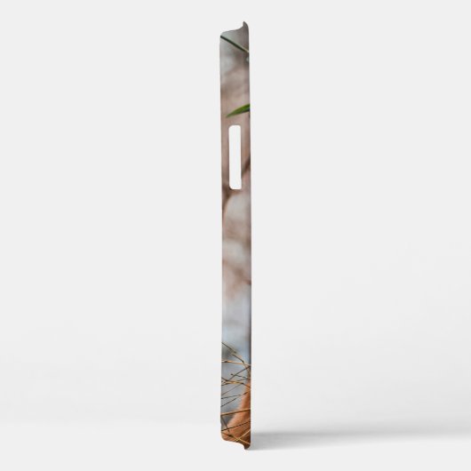 COQUES Case-Mate iPhone CUTE KOALA BEAR (Verso / Droite)