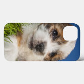 Coques Case-Mate iPhone Cute puppy dog (Verso (horizontal))