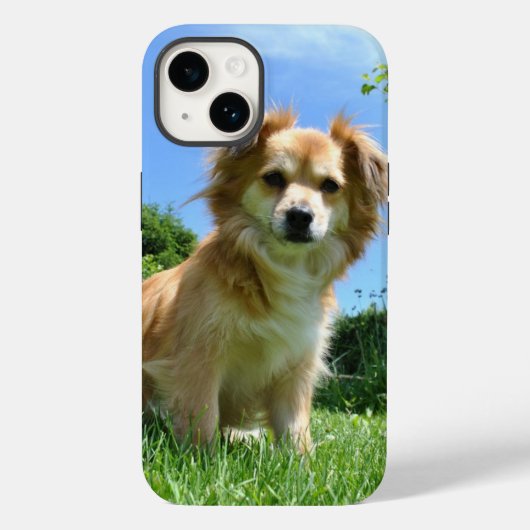 Coques Case-Mate iPhone Cute Puppy in Garden Photo (Verso)