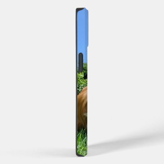 Coques Case-Mate iPhone Cute Puppy in Garden Photo (Verso / Droite)