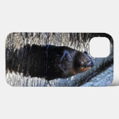 Coques Case-Mate iPhone Cute Standing Wild Beaver 2 Photo Faune (Verso (horizontal))