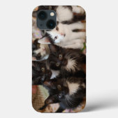 Coques Case-Mate iPhone Cutest Baby Animals | Black & White Kittens (Verso)