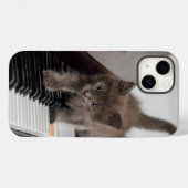 Coques Case-Mate iPhone Cutest Baby Animals | Kitten on Piano (Verso (horizontal))