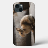 Coques Case-Mate iPhone Cutest Baby Animals | Netherland Dwarf Rabbit (Verso)