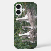 Coques Case-Mate iPhone Cygnes et jeunes cygnes (Verso)