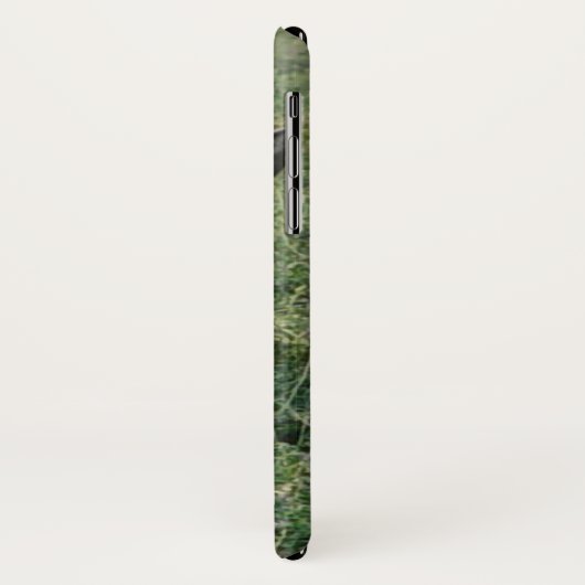 Coques Case-Mate iPhone D19 Mule Deer Fawn (Dos/Gauche)