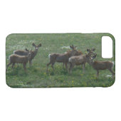 Coques Case-Mate iPhone D7 Mule Deer Spring Bucks (Dos (Horizontal))