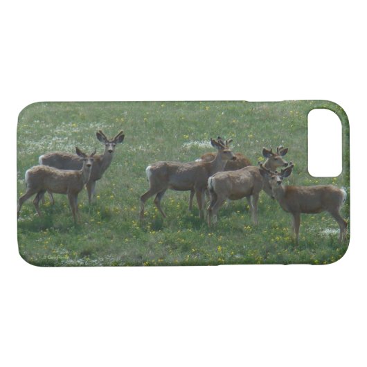 Coques Case-Mate iPhone D7 Mule Deer Spring Bucks (Dos (Horizontal))