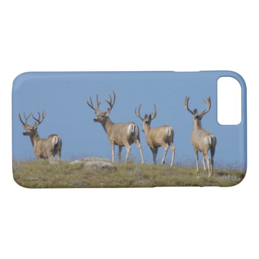 Coques Case-Mate iPhone D9 Mule Deer in Velvet (Dos (Horizontal))