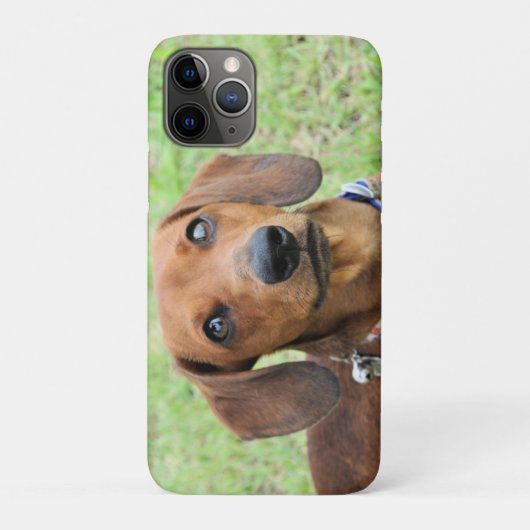 Coques Case-Mate iPhone Dachshund (Dos)