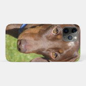 Coques Case-Mate iPhone Dachshund (Dos (Horizontal))