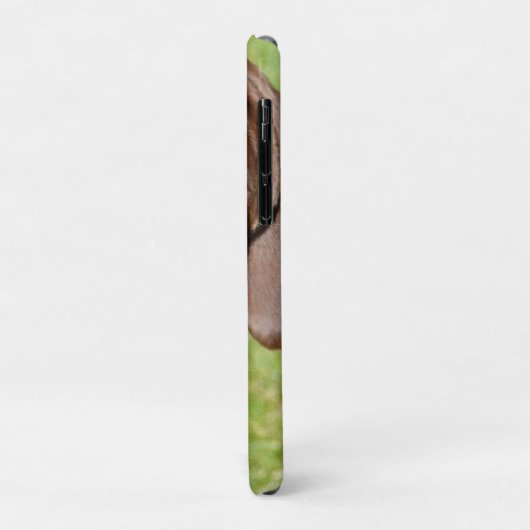 Coques Case-Mate iPhone Dachshund (Dos/Gauche)