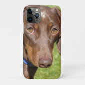 Coques Case-Mate iPhone Dachshund (Dos)