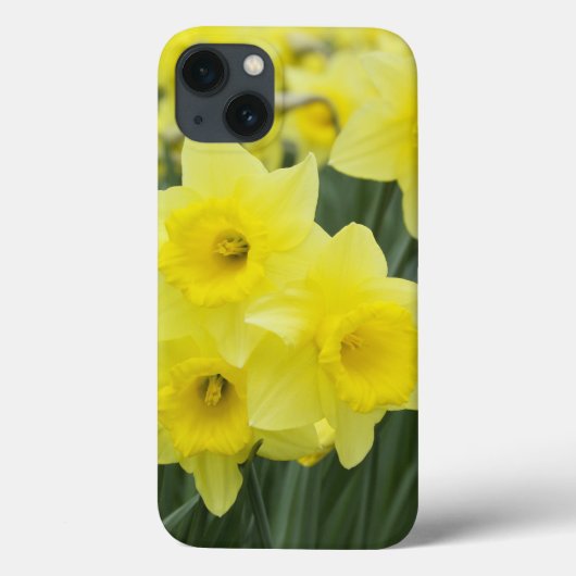 Coques Case-Mate iPhone Daffodils RF) (Verso)