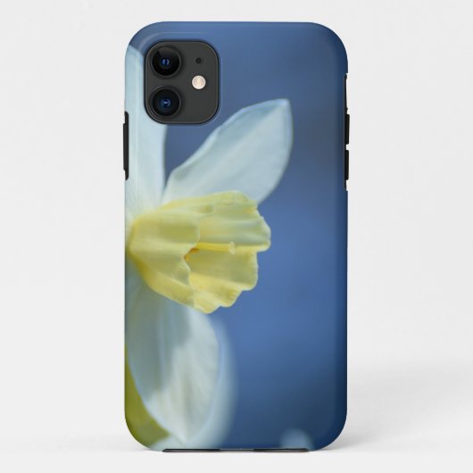 Coques Case-Mate iPhone Daffodique au printemps (Dos)