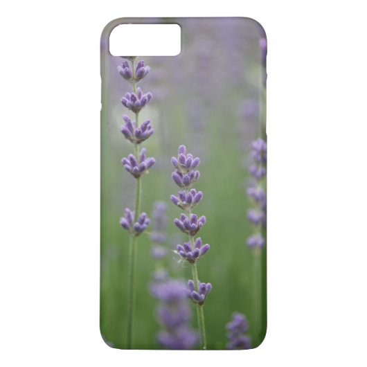 Coques Case-Mate iPhone Dainty Lavender (Dos)