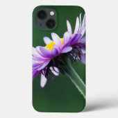 Coques Case-Mate iPhone Daisy alpin (Verso)