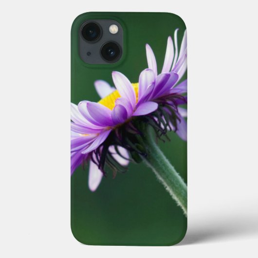 Coques Case-Mate iPhone Daisy alpin (Verso)