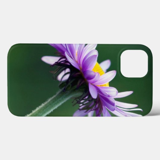 Coques Case-Mate iPhone Daisy alpin (Verso (horizontal))
