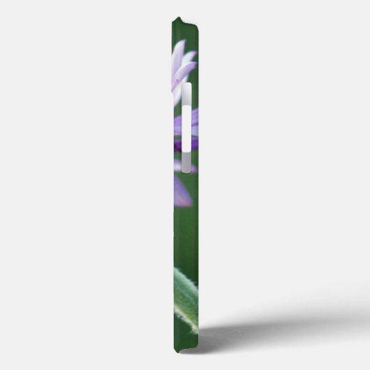 Coques Case-Mate iPhone Daisy alpin (Verso / Gauche)