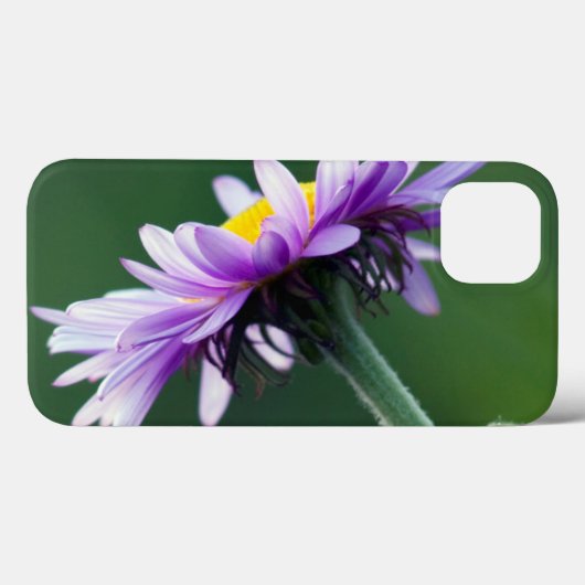 Coques Case-Mate iPhone Daisy alpin (Verso (horizontal))