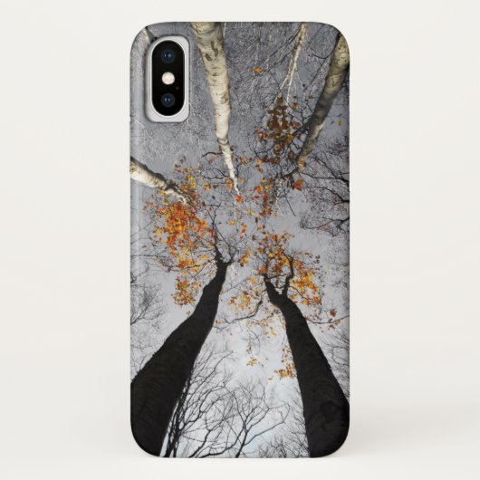 Coques Case-Mate iPhone dans la forêt (Dos)
