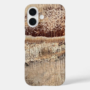 Coques iPhone 16 Date Palm Tree Trunk Texture Fermer Photo Image