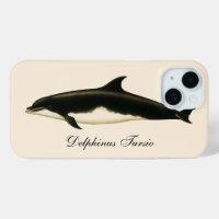 Dauphins Delphinus Tursio, Animaux Marins Vintage