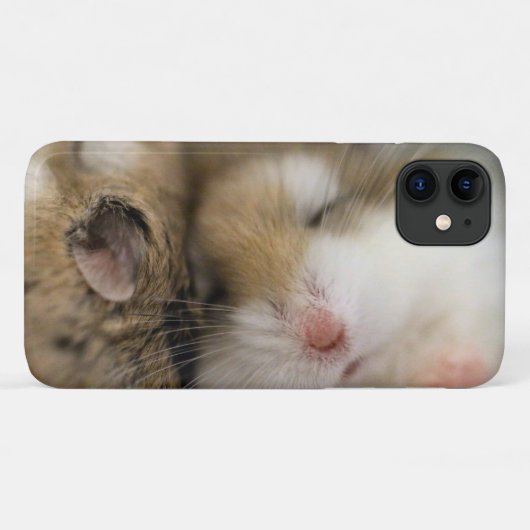 Coques Case-Mate iPhone Déplace Bob ! (Dos (Horizontal))