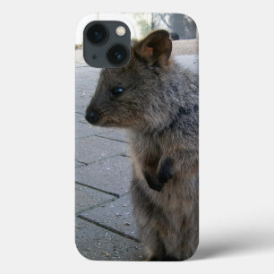 Case-Mate iPhone Case "Des coups de bâton en Australie : une Quokka gris