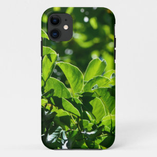 Coques Pour iPhone des feuilles verts de printemps frais. photographi