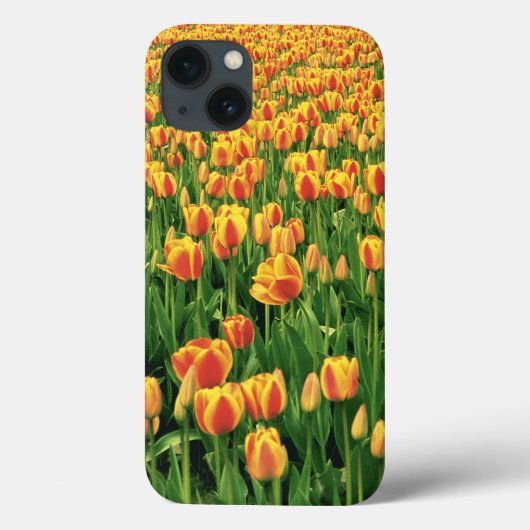 Coques Case-Mate iPhone Des tulipes printanières fleurissent devant la vie (Verso)