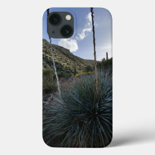 Case-Mate iPhone Case Desert Southwest Sotol Plantes Pittoresque Image A