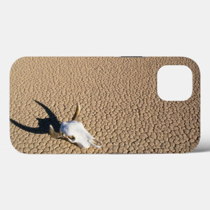 Case-Mate iPhone Case Deserts Cow Skull on the Desert Ground