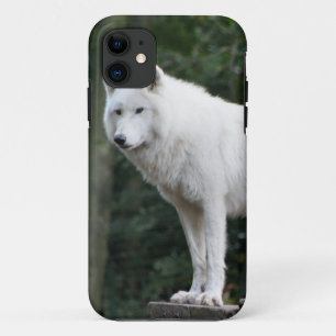 Coque iPhone 11 Destin animal d'amour de paix de nature de loup