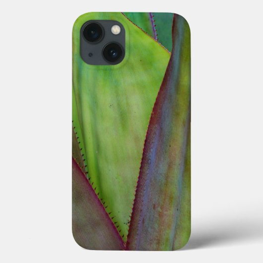 Coques Case-Mate iPhone Détail de la plante d'Agave (Verso)