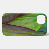 Coques Case-Mate iPhone Détail de la plante d'Agave (Verso (horizontal))