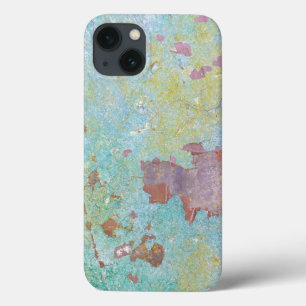 iPhone 13 Case Détails de mur peint Fort Hayden, WA