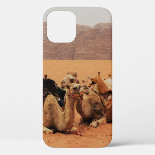 Case-Mate iPhone CASE DEUX CAMEAUX SITUÉS SUR SABLE BROWN PRÈS DES MONTA