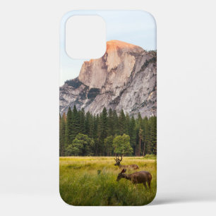 Case-Mate iPhone CASE DEUX CERFS DEVANT LA DEMI-DOME DANS LA VALLÉE YOSE