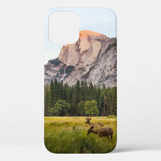 COQUES Case-Mate iPhone DEUX CERFS DEVANT LA DEMI-DOME DANS LA VALLÉE YOSE (Verso)