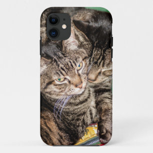 Coque iPhone 11 Deux chats en difficulté
