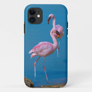 Coques Pour iPhone Deux Flamants roses roses