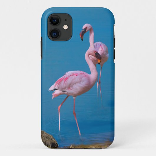 Coques Case-Mate iPhone Deux Flamants roses roses (Dos)