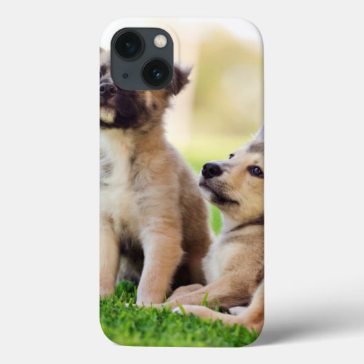 Coques Case-Mate iPhone Deux German Shepherd (Verso)