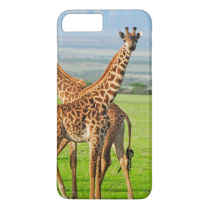 Coque iPhone 7 Plus Deux girafes