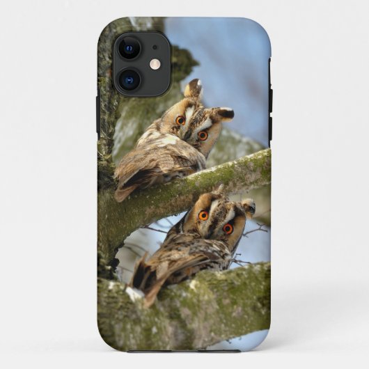 Coques Case-Mate iPhone Deux hiboux dans les bois, oiseaux, faune Case-Mat (Dos)